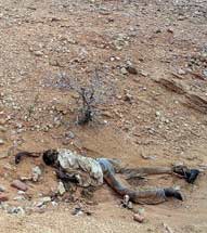 Body in Darfur, Sudan.

MASSACRES IN DARFUR remain rampant, a UN investigation has found, report June 14, 2006.

Photo: Taker and date of photo unknown/Raw story