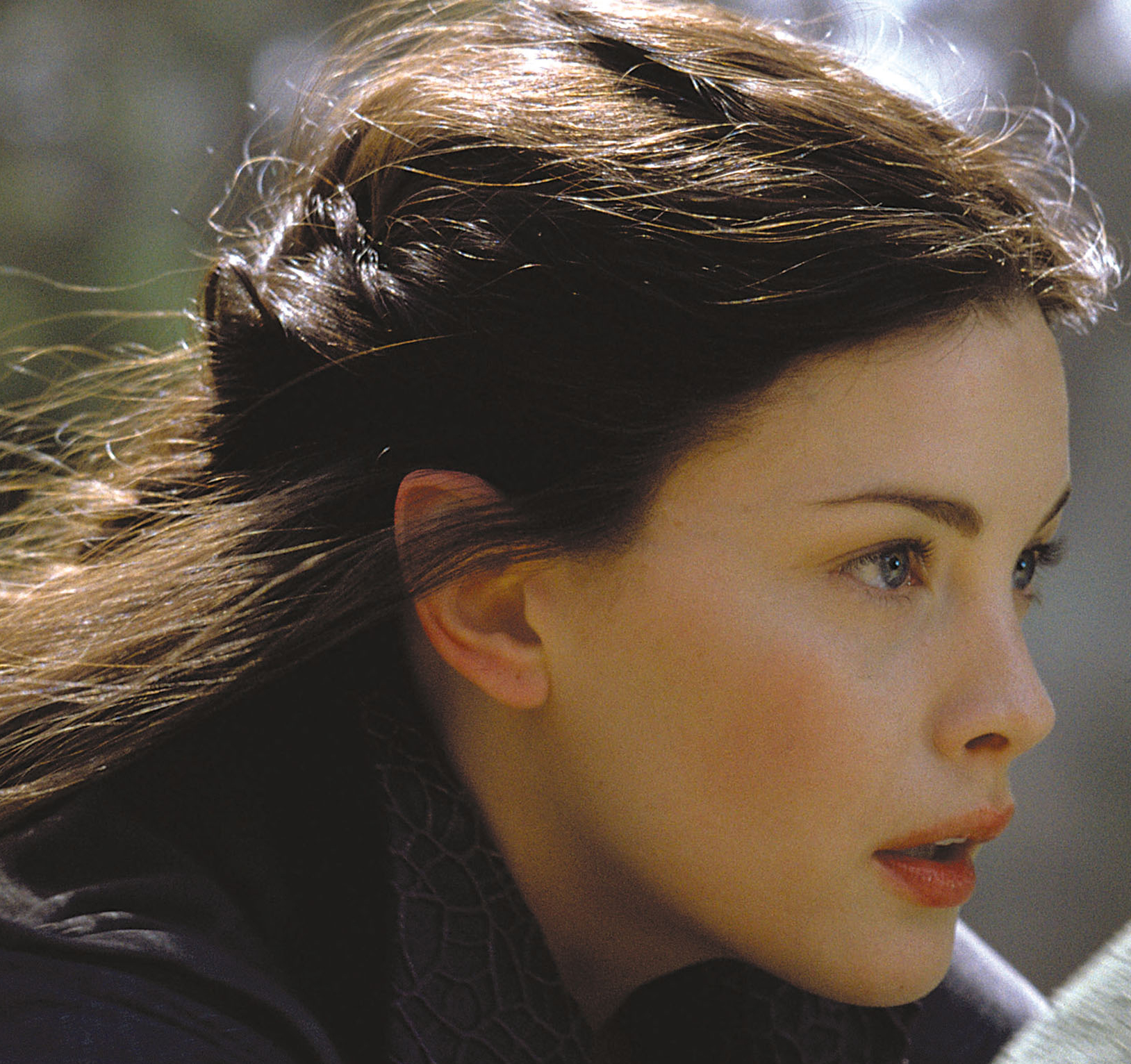 Arwen, Lord of the Rings Always wanted to look like her!