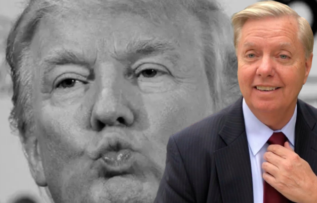Lindsey Graham wants to be Trump's presidential b*tch, praises his stance  on birthright citizenship / Queerty